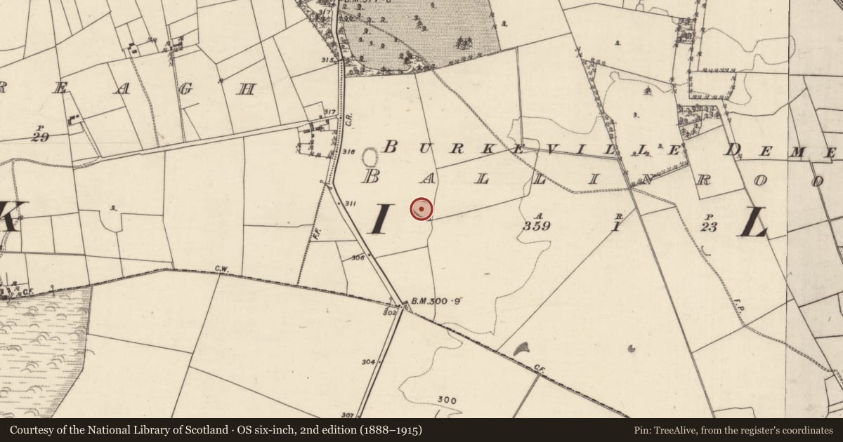 Ordnance Survey six-inch map, 2nd edition (1888–1915) covering the location of Ringfort - rath, Ballinrooaun, County Galway, with a pin at the register's coordinates