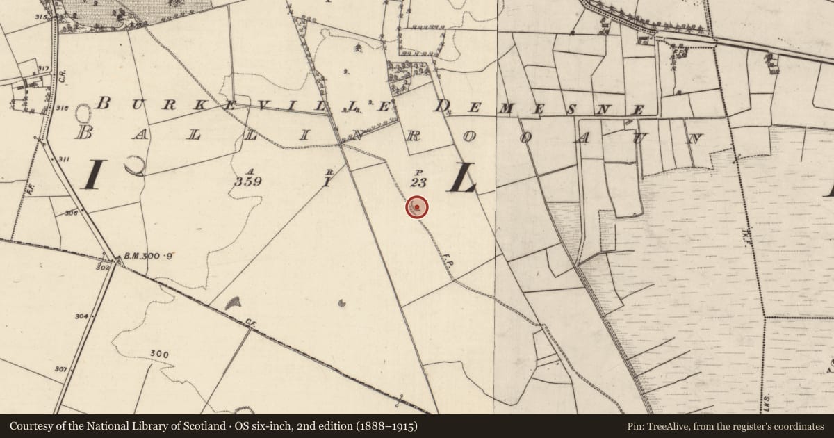 Ordnance Survey six-inch map, 2nd edition (1888–1915) covering the location of Enclosure, Ballinrooaun, County Galway, with a pin at the register's coordinates