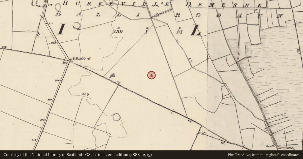 Ordnance Survey six-inch map, 2nd edition (1888–1915) covering the location of Quarry, Ballinrooaun, County Galway, with a pin at the register's coordinates