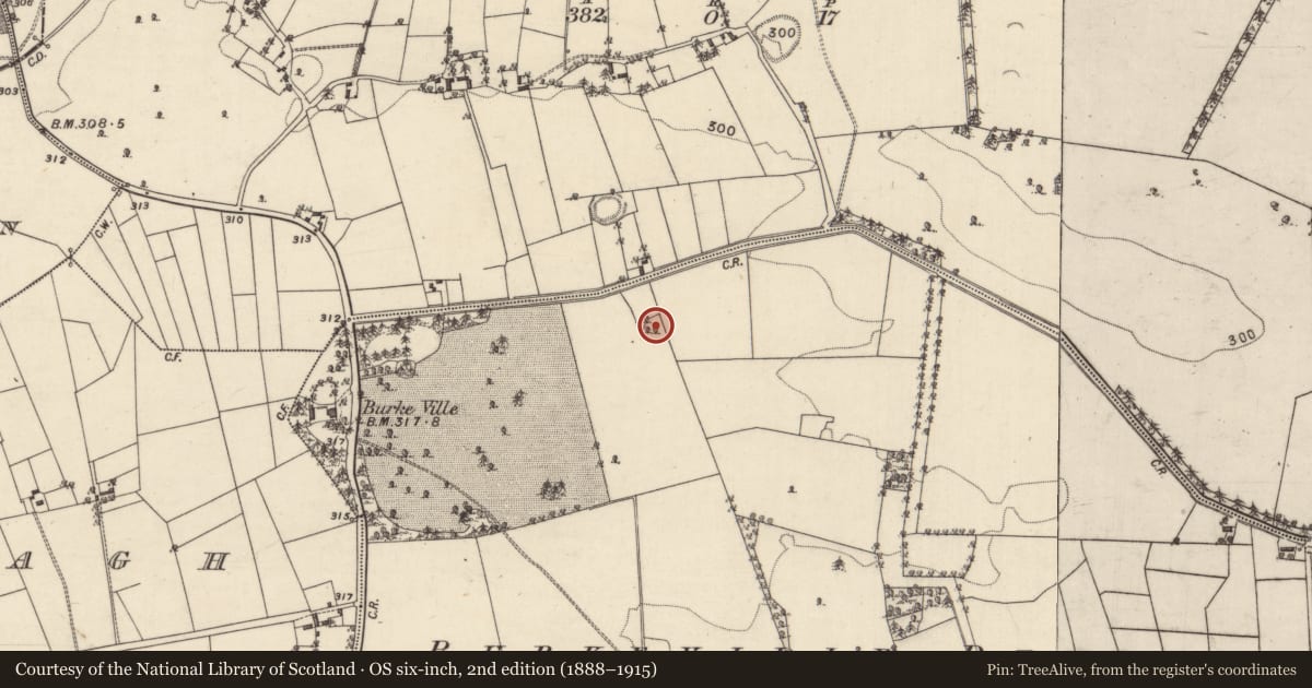 Ordnance Survey six-inch map, 2nd edition (1888–1915) covering the location of Designed landscape - tree-ring, Ballinrooaun, County Galway, with a pin at the register's coordinates