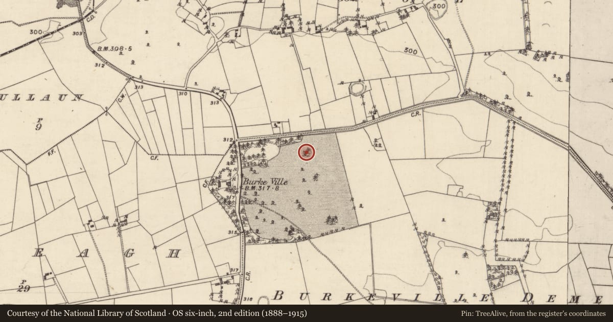 Ordnance Survey six-inch map, 2nd edition (1888–1915) covering the location of Designed landscape - tree-ring, Ballinrooaun, County Galway, with a pin at the register's coordinates