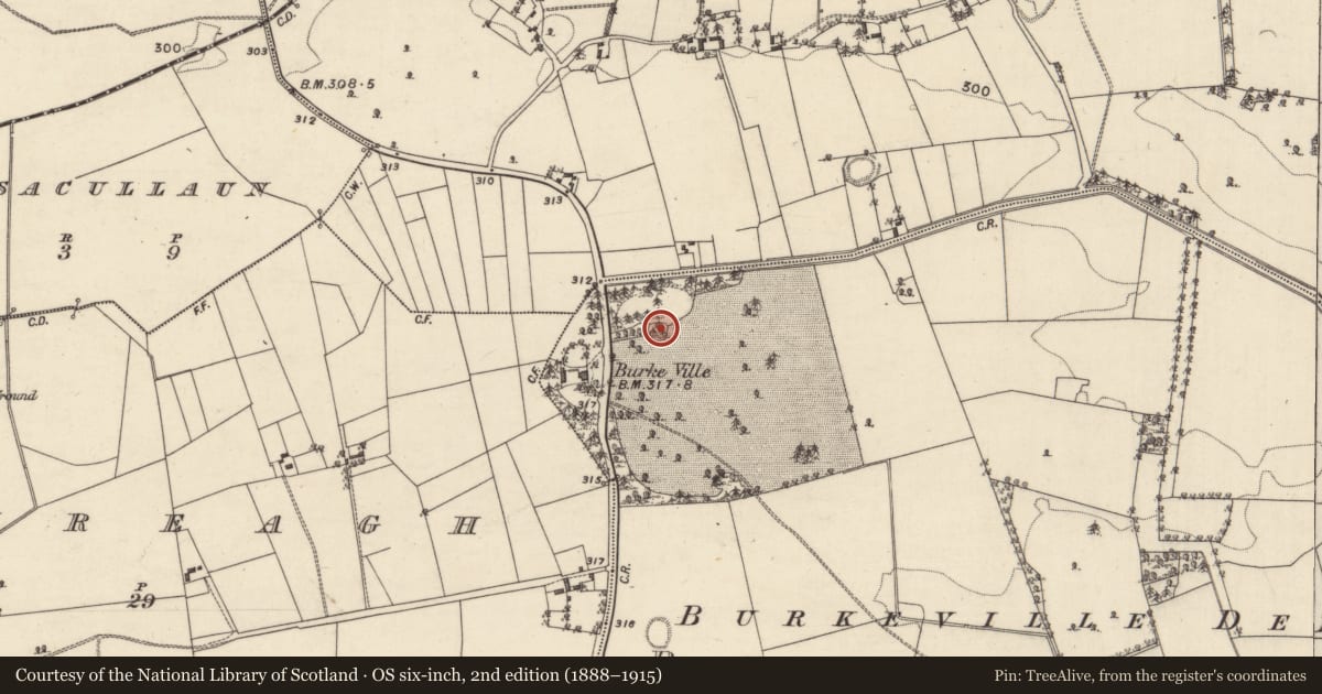 Ordnance Survey six-inch map, 2nd edition (1888–1915) covering the location of Designed landscape - tree-ring, Ballinrooaun, County Galway, with a pin at the register's coordinates