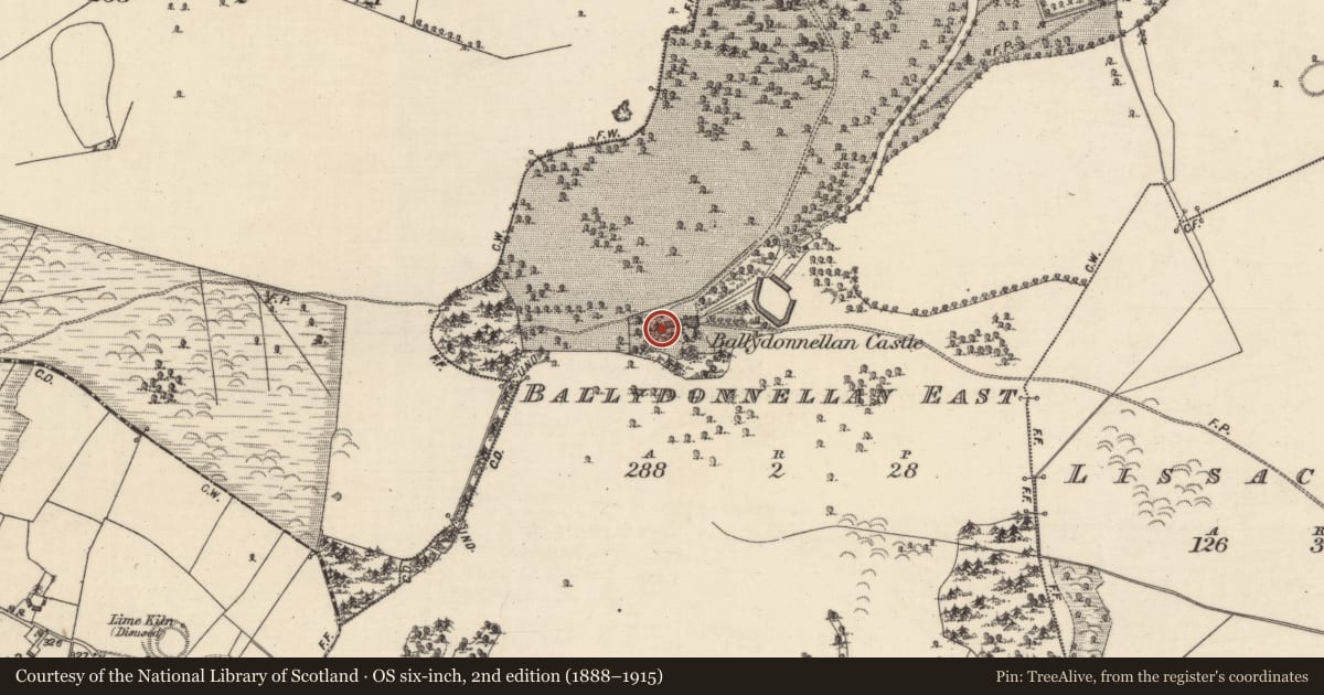 Ordnance Survey six-inch map, 2nd edition (1888–1915) covering the location of Castle - tower house, Ballydonnellan East, County Galway, with a pin at the register's coordinates