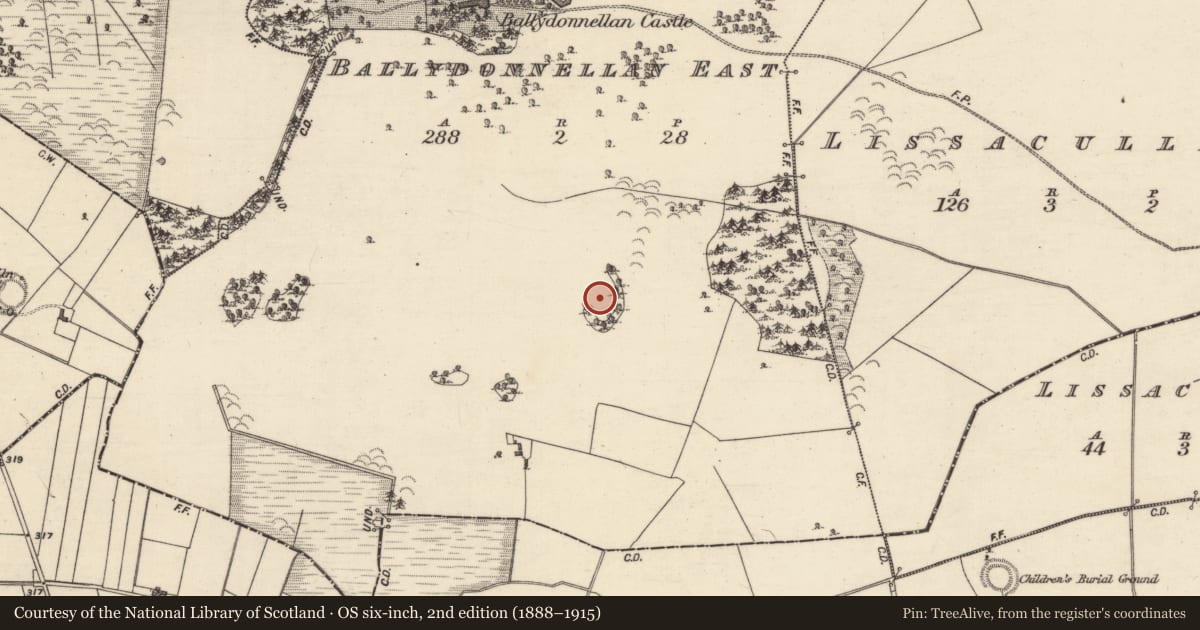 Ordnance Survey six-inch map, 2nd edition (1888–1915) covering the location of Designed landscape feature, Ballydonnellan East, County Galway, with a pin at the register's coordinates