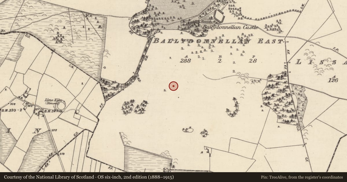 Ordnance Survey six-inch map, 2nd edition (1888–1915) covering the location of Standing stone, Ballydonnellan East, County Galway, with a pin at the register's coordinates