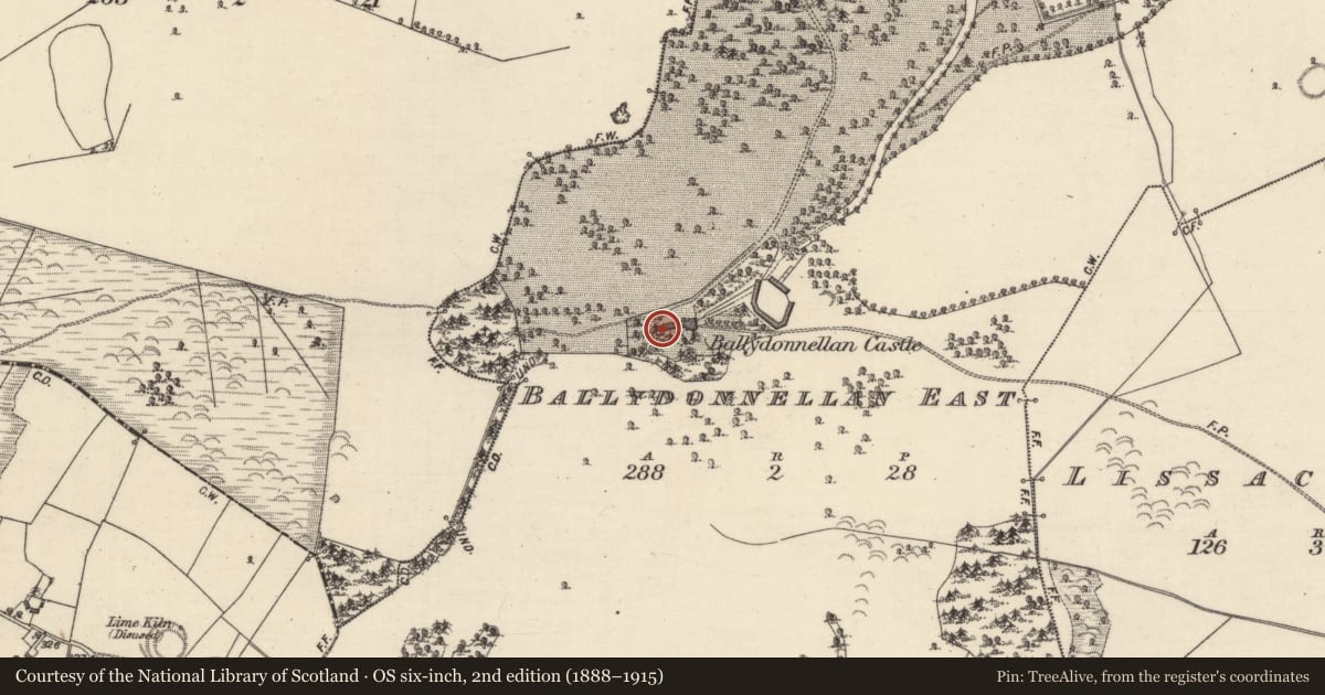 Ordnance Survey six-inch map, 2nd edition (1888–1915) covering the location of Memorial stone, Ballydonnellan East, County Galway, with a pin at the register's coordinates