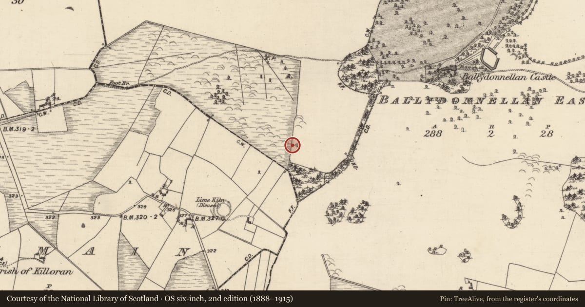 Ordnance Survey six-inch map, 2nd edition (1888–1915) covering the location of Quarry, Ballydonnellan West, County Galway, with a pin at the register's coordinates