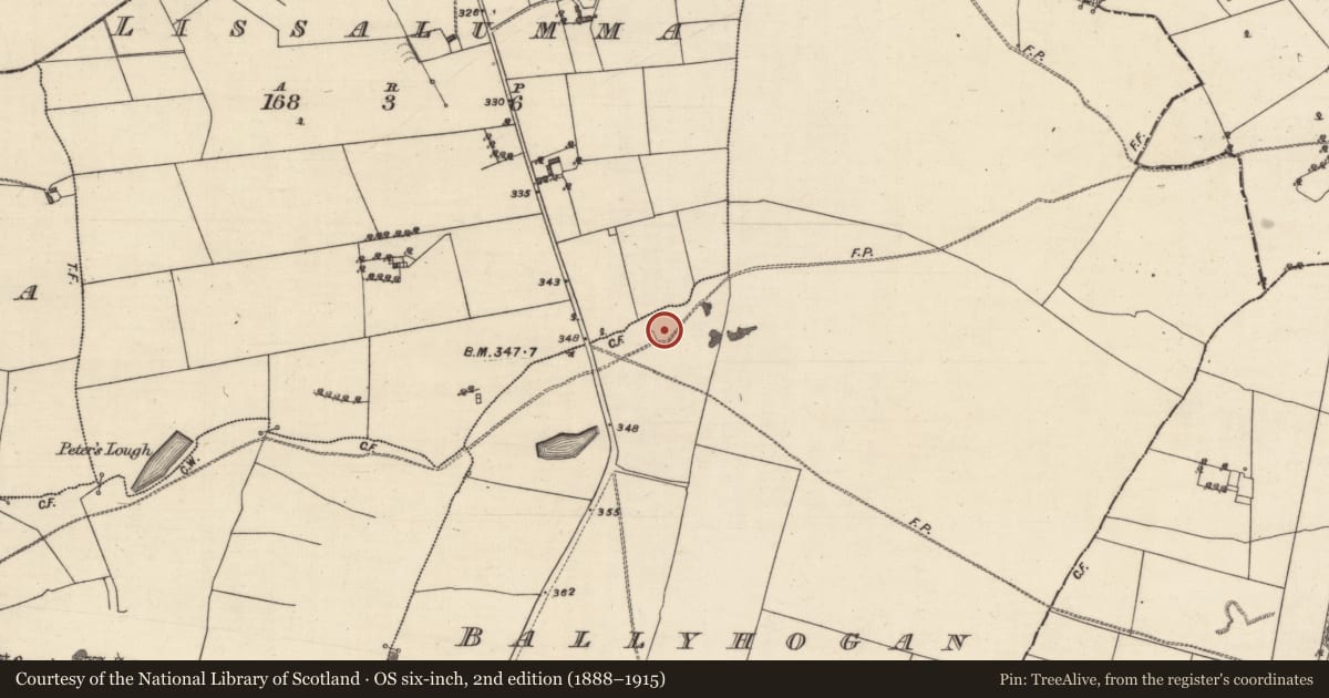 Ordnance Survey six-inch map, 2nd edition (1888–1915) covering the location of Enclosure, Ballyhogan, County Galway, with a pin at the register's coordinates