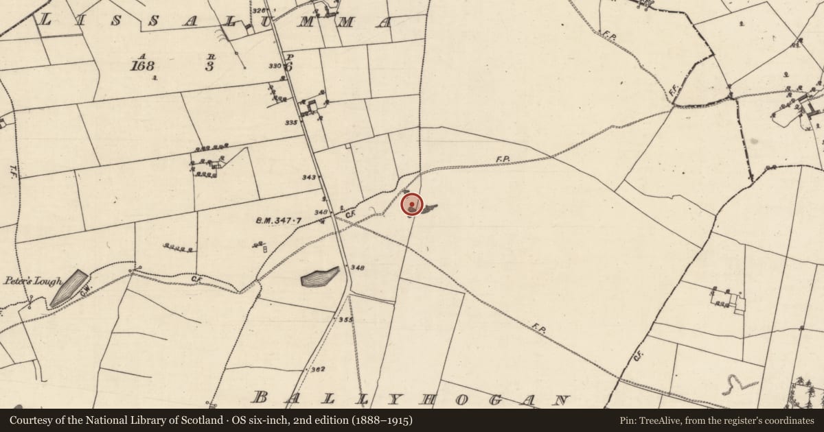 Ordnance Survey six-inch map, 2nd edition (1888–1915) covering the location of Quarry, Ballyhogan, County Galway, with a pin at the register's coordinates