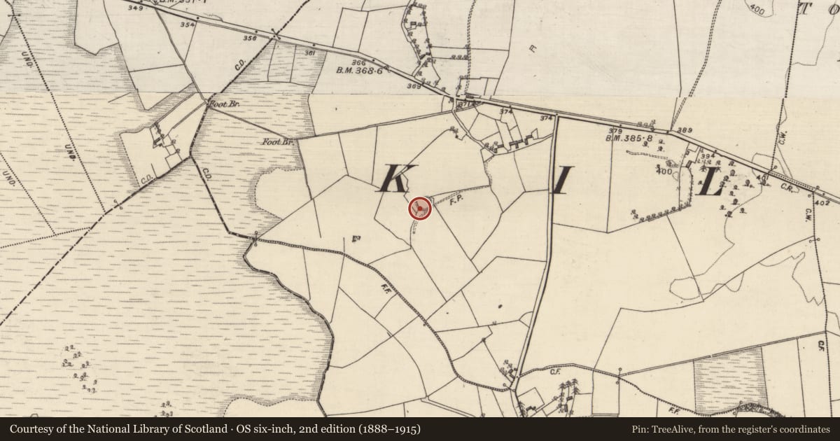 Ordnance Survey six-inch map, 2nd edition (1888–1915) covering the location of Ringfort - rath, Ballymabilla, County Galway, with a pin at the register's coordinates