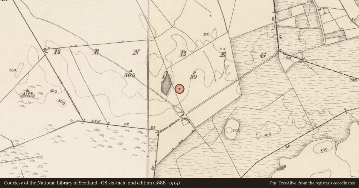 Ordnance Survey six-inch map, 2nd edition (1888–1915) covering the location of Children's burial ground, Ben Beg, County Galway, with a pin at the register's coordinates
