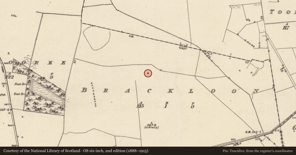 Ordnance Survey six-inch map, 2nd edition (1888–1915) covering the location of Prehistoric site - lithic scatter, Brackloon, County Galway, with a pin at the register's coordinates
