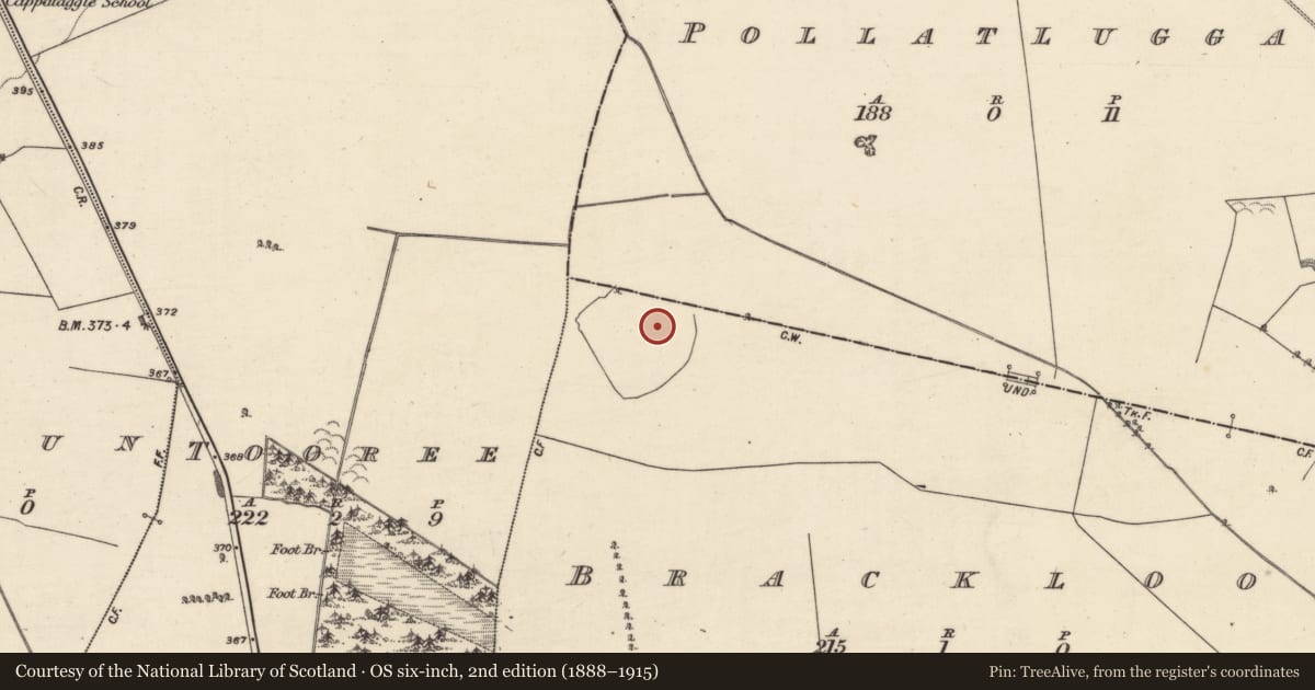 Ordnance Survey six-inch map, 2nd edition (1888–1915) covering the location of Ringfort - unclassified, Brackloon, County Galway, with a pin at the register's coordinates