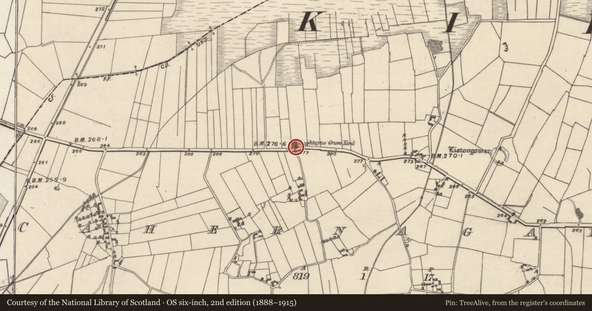 Ordnance Survey six-inch map, 2nd edition (1888–1915) covering the location of Children's burial ground, Cahernagarry, County Galway, with a pin at the register's coordinates