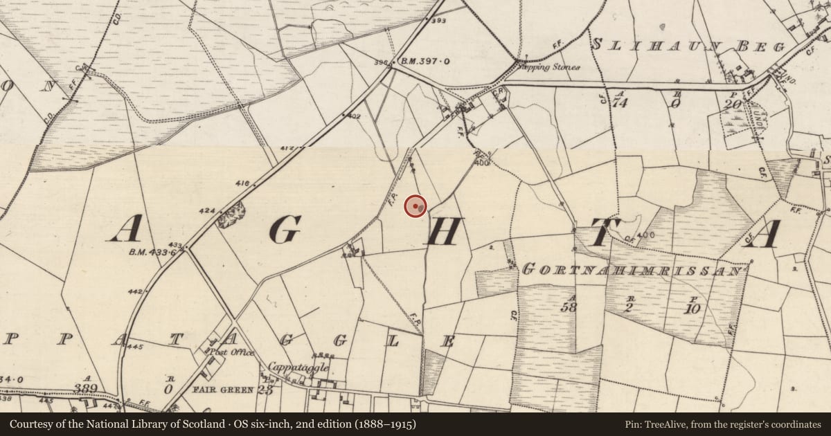 Ordnance Survey six-inch map, 2nd edition (1888–1915) covering the location of Quarry, Cappataggle, County Galway, with a pin at the register's coordinates