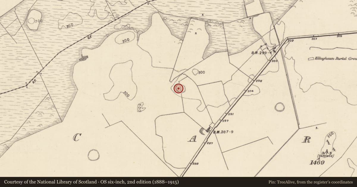 Ordnance Survey six-inch map, 2nd edition (1888–1915) covering the location of Ringfort - rath, Carra, County Galway, with a pin at the register's coordinates