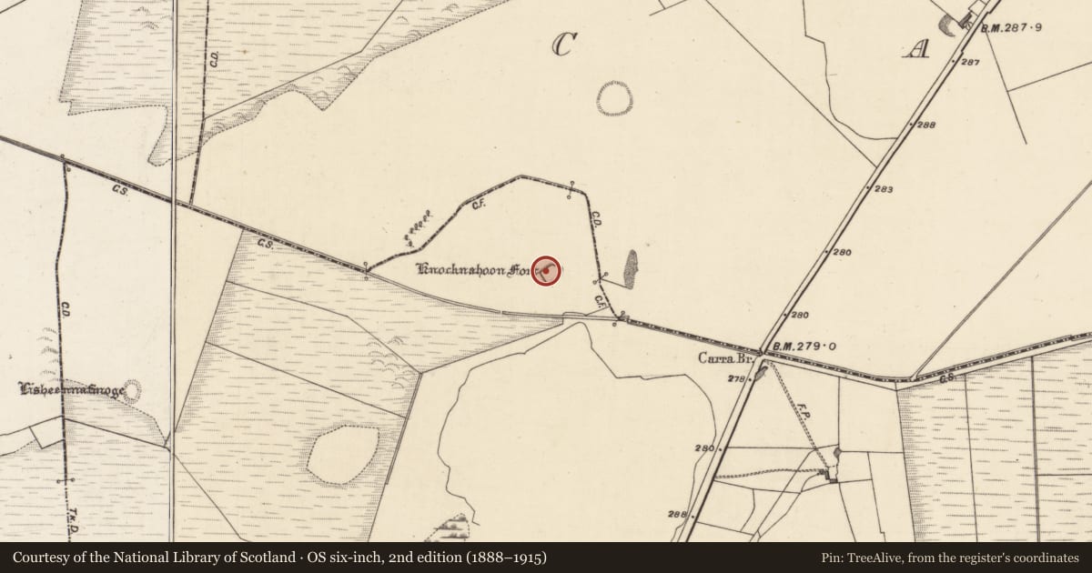 Ordnance Survey six-inch map, 2nd edition (1888–1915) covering the location of Field system, Carrowmore, County Galway, with a pin at the register's coordinates
