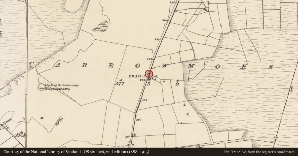 Ordnance Survey six-inch map, 2nd edition (1888–1915) covering the location of Standing stone, Carrowmore, County Galway, with a pin at the register's coordinates