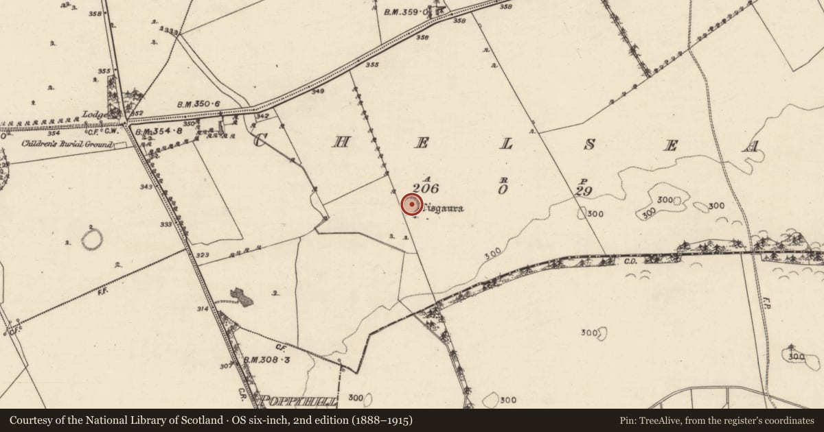 Ordnance Survey six-inch map, 2nd edition (1888–1915) covering the location of Ringfort - rath, Chelsea, County Galway, with a pin at the register's coordinates