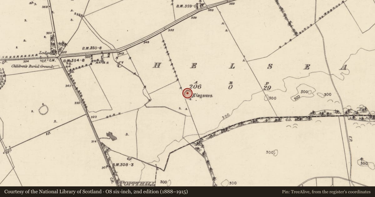Ordnance Survey six-inch map, 2nd edition (1888–1915) covering the location of Souterrain, Chelsea, County Galway, with a pin at the register's coordinates