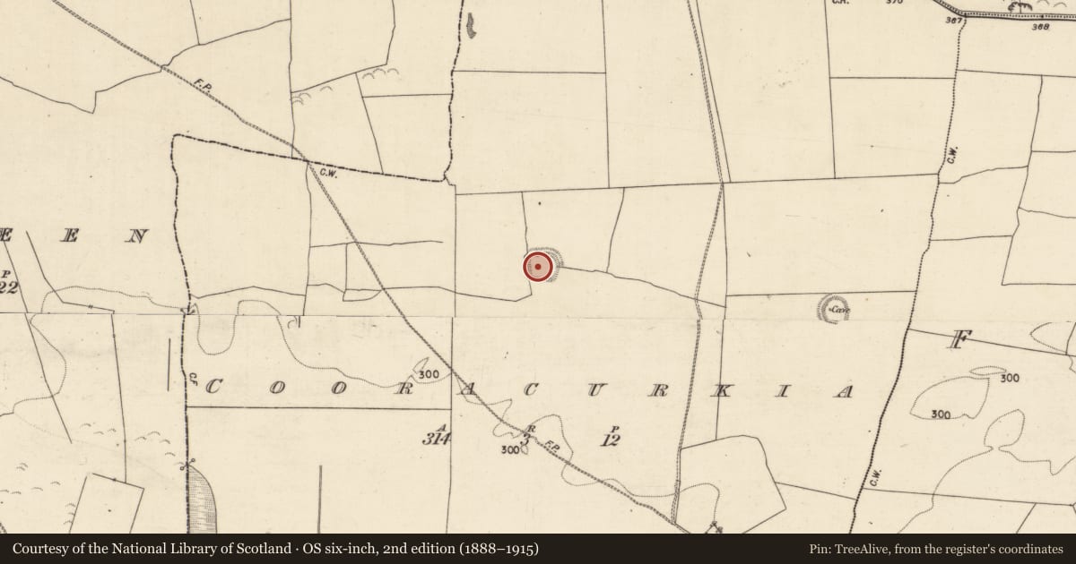 Ordnance Survey six-inch map, 2nd edition (1888–1915) covering the location of Ringfort - rath, Cooracurkia, County Galway, with a pin at the register's coordinates