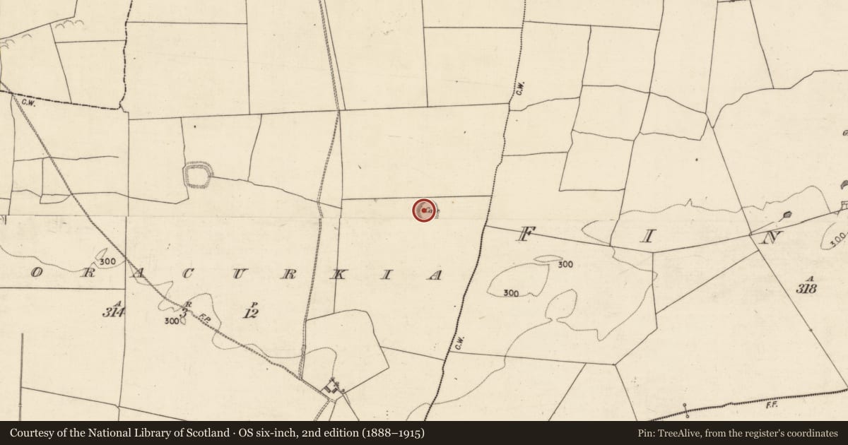 Ordnance Survey six-inch map, 2nd edition (1888–1915) covering the location of Ringfort - rath, Cooracurkia, County Galway, with a pin at the register's coordinates