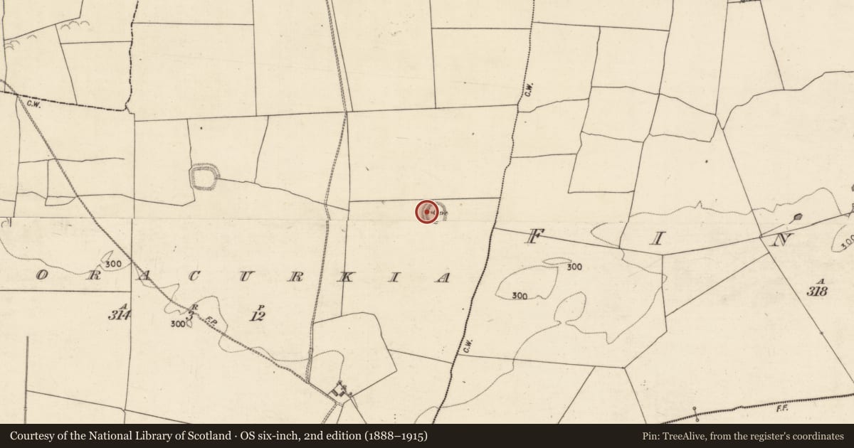 Ordnance Survey six-inch map, 2nd edition (1888–1915) covering the location of Souterrain, Cooracurkia, County Galway, with a pin at the register's coordinates