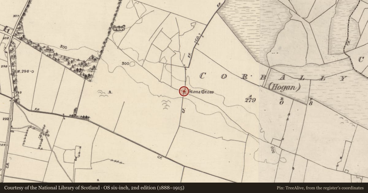 Ordnance Survey six-inch map, 2nd edition (1888–1915) covering the location of Cross, Corbally (Hogan), County Galway, with a pin at the register's coordinates