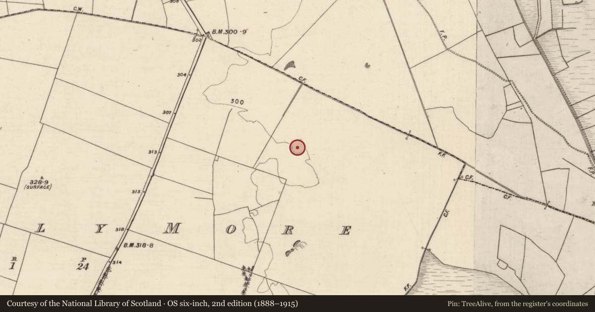 Ordnance Survey six-inch map, 2nd edition (1888–1915) covering the location of Ringfort - rath, Corbally More, County Galway, with a pin at the register's coordinates