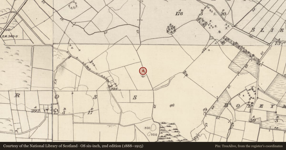 Ordnance Survey six-inch map, 2nd edition (1888–1915) covering the location of Enclosure, Cross, Rahally, County Galway, with a pin at the register's coordinates