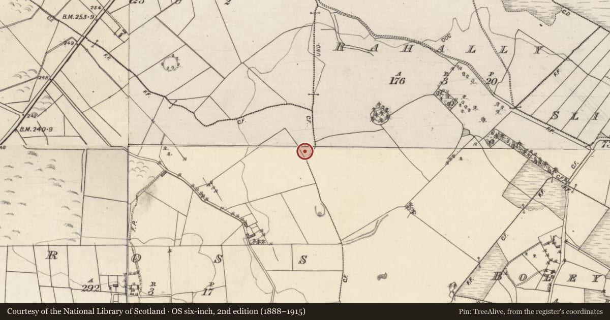 Ordnance Survey six-inch map, 2nd edition (1888–1915) covering the location of Prehistoric site - lithic scatter, Cross, County Galway, with a pin at the register's coordinates
