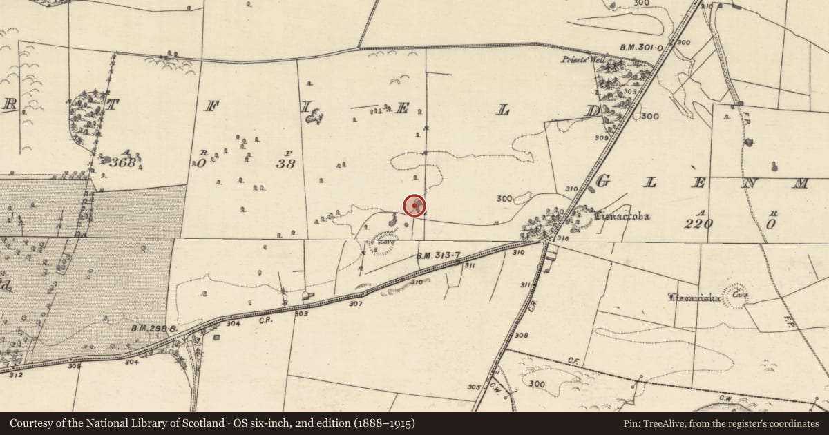 Ordnance Survey six-inch map, 2nd edition (1888–1915) covering the location of Quarry, Dartfield, County Galway, with a pin at the register's coordinates