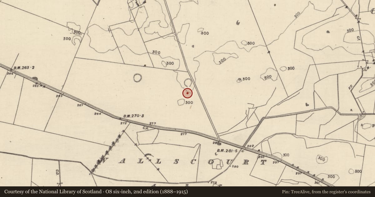 Ordnance Survey six-inch map, 2nd edition (1888–1915) covering the location of Field system, Doon, County Galway, with a pin at the register's coordinates