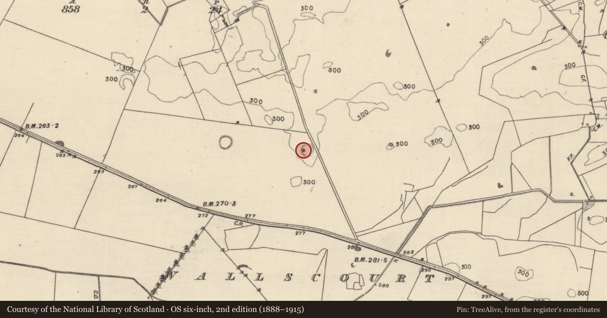 Ordnance Survey six-inch map, 2nd edition (1888–1915) covering the location of Hut site, Doon, County Galway, with a pin at the register's coordinates