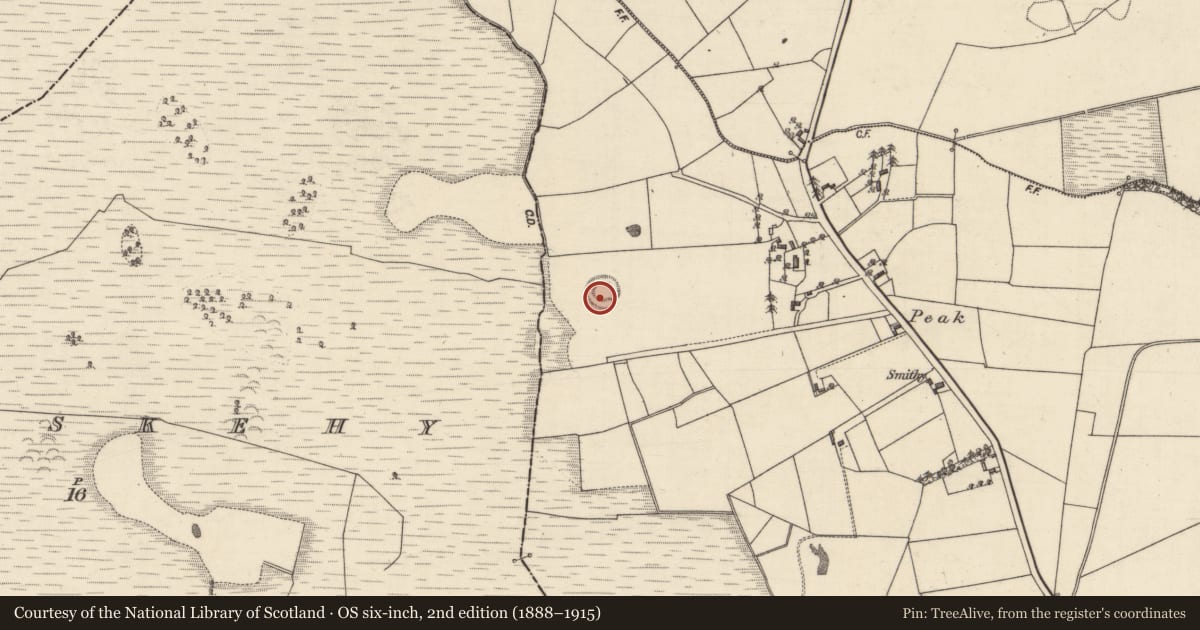 Ordnance Survey six-inch map, 2nd edition (1888–1915) covering the location of Ringfort - rath, Eastwell, County Galway, with a pin at the register's coordinates
