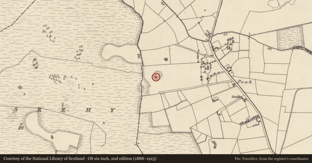 Ordnance Survey six-inch map, 2nd edition (1888–1915) covering the location of Souterrain, Eastwell, County Galway, with a pin at the register's coordinates