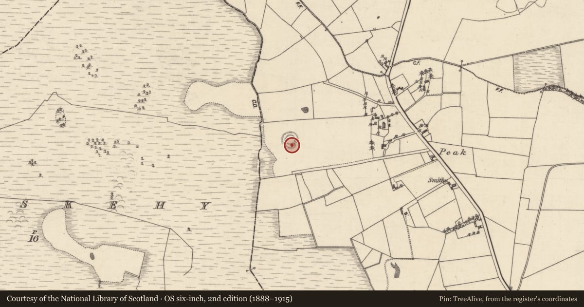 Ordnance Survey six-inch map, 2nd edition (1888–1915) covering the location of House - indeterminate date, Eastwell, County Galway, with a pin at the register's coordinates