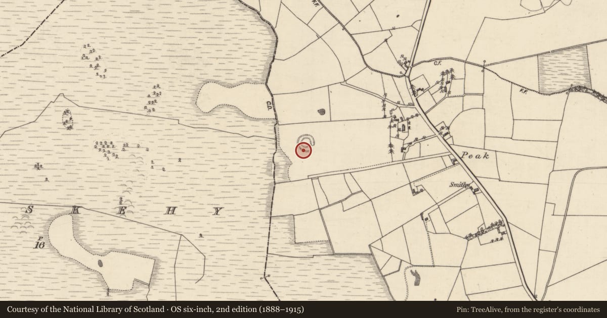 Ordnance Survey six-inch map, 2nd edition (1888–1915) covering the location of House - indeterminate date, Eastwell, County Galway, with a pin at the register's coordinates