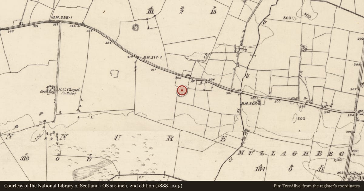 Ordnance Survey six-inch map, 2nd edition (1888–1915) covering the location of Ringfort - rath, Finnure, County Galway, with a pin at the register's coordinates