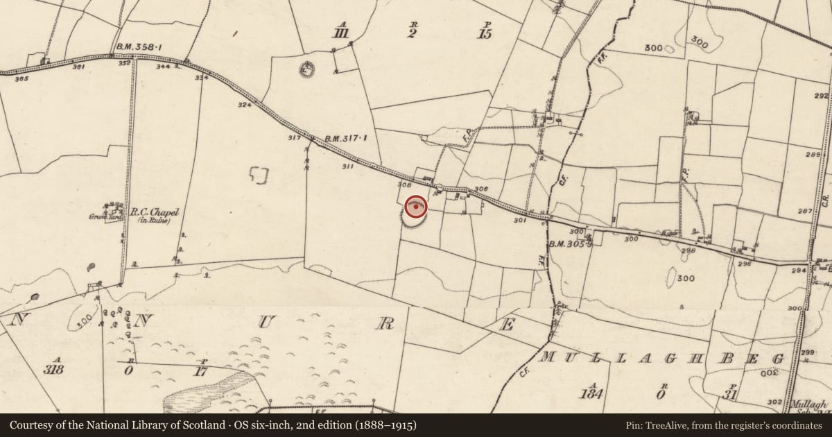 Ordnance Survey six-inch map, 2nd edition (1888–1915) covering the location of Kiln - lime, Finnure, County Galway, with a pin at the register's coordinates