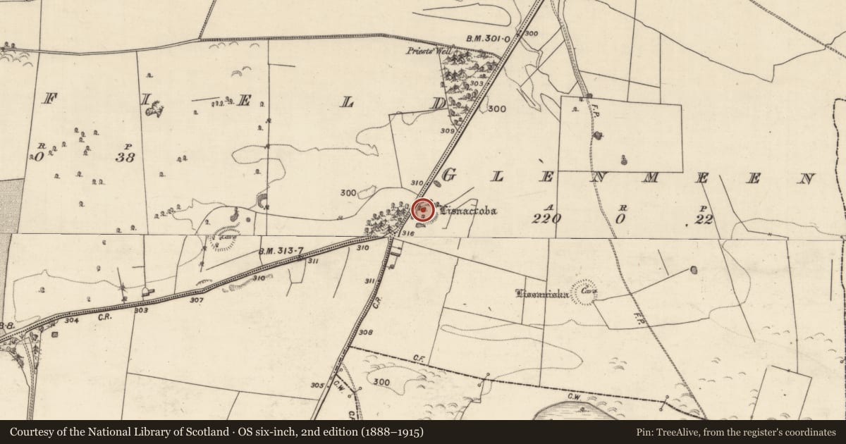 Ordnance Survey six-inch map, 2nd edition (1888–1915) covering the location of Souterrain, Glenmeen, County Galway, with a pin at the register's coordinates