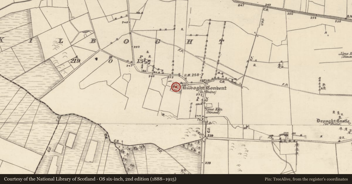 Ordnance Survey six-inch map, 2nd edition (1888–1915) covering the location of Graveyard, Kilboght, County Galway, with a pin at the register's coordinates
