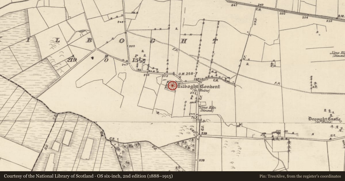 Ordnance Survey six-inch map, 2nd edition (1888–1915) covering the location of Graveslab, Kilboght, County Galway, with a pin at the register's coordinates