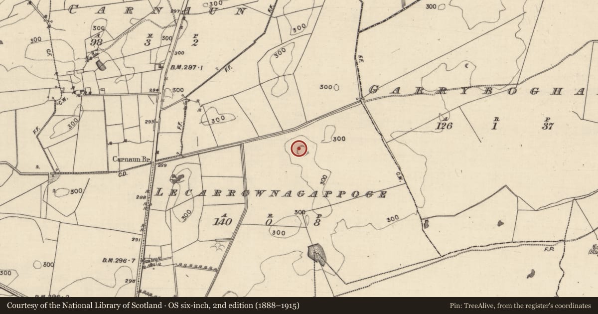 Ordnance Survey six-inch map, 2nd edition (1888–1915) covering the location of Ringfort - rath, Lecarrownagappoge, County Galway, with a pin at the register's coordinates