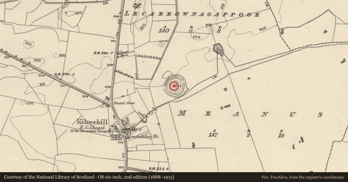 Ordnance Survey six-inch map, 2nd edition (1888–1915) covering the location of Souterrain, Lecarrownagappoge, County Galway, with a pin at the register's coordinates