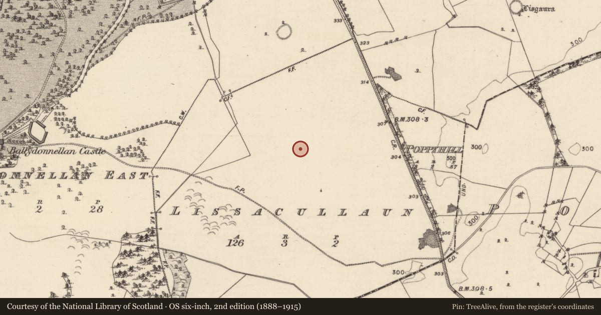 Ordnance Survey six-inch map, 2nd edition (1888–1915) covering the location of Mass-rock, Lissacullaun, County Galway, with a pin at the register's coordinates