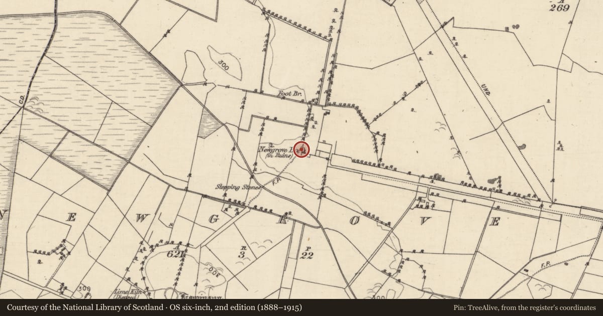 Ordnance Survey six-inch map, 2nd edition (1888–1915) covering the location of House - indeterminate date, Newgrove, County Galway, with a pin at the register's coordinates