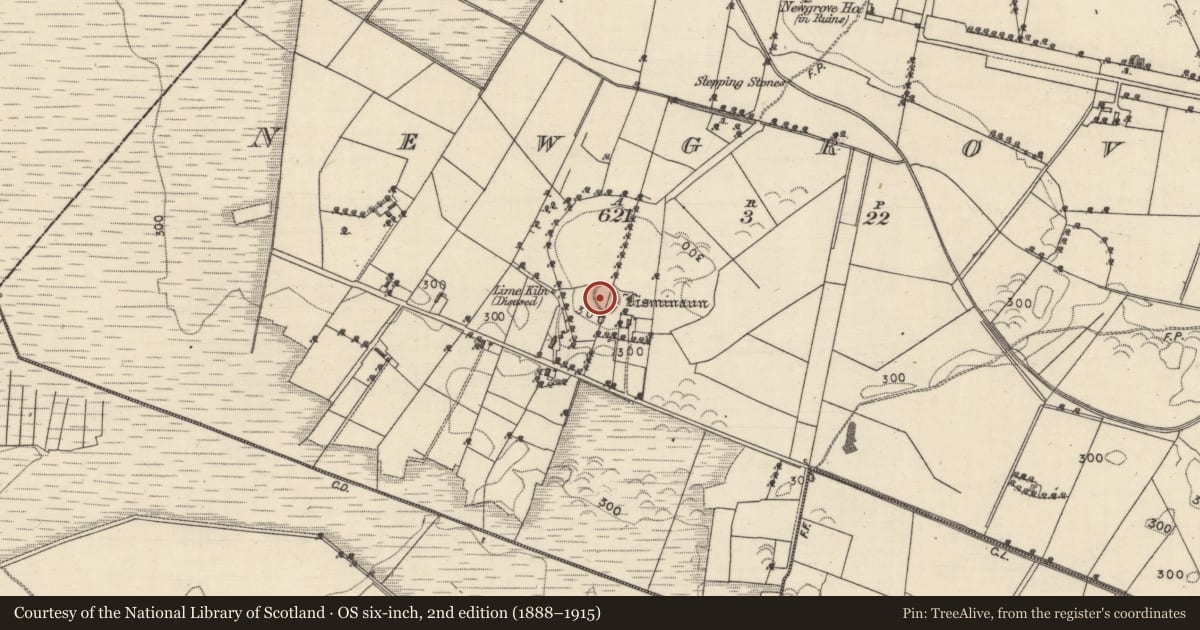 Ordnance Survey six-inch map, 2nd edition (1888–1915) covering the location of Ringfort - rath, Newgrove, County Galway, with a pin at the register's coordinates