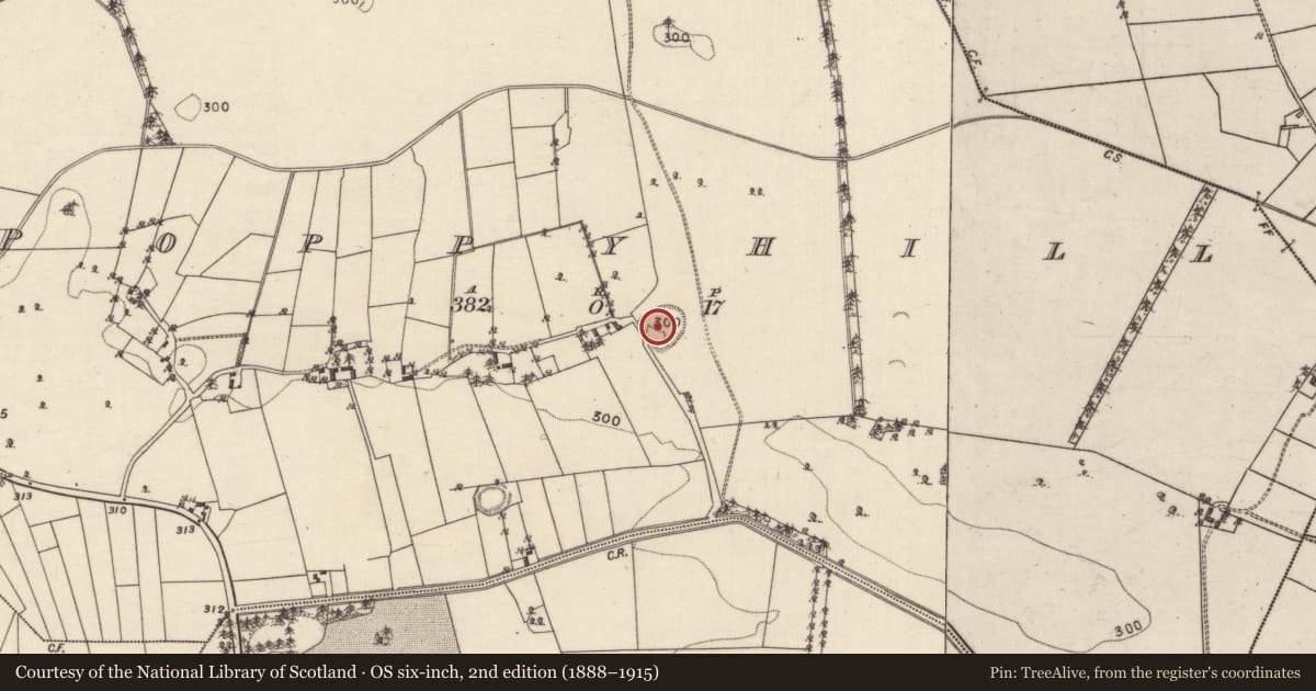 Ordnance Survey six-inch map, 2nd edition (1888–1915) covering the location of Ringfort - rath, Poppyhill, County Galway, with a pin at the register's coordinates