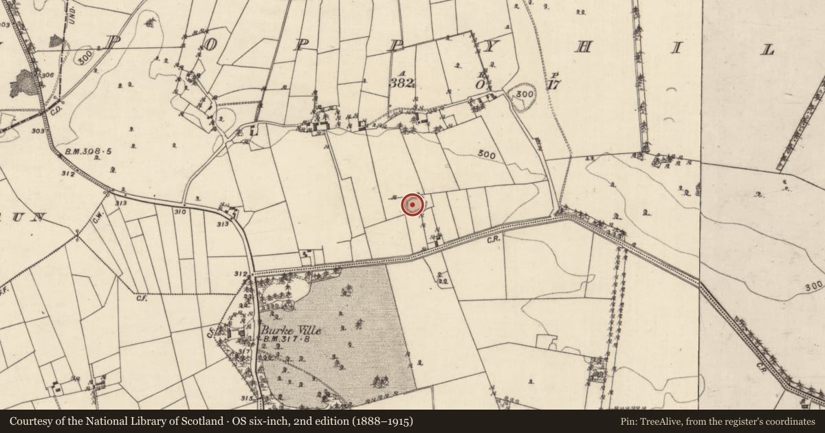 Ordnance Survey six-inch map, 2nd edition (1888–1915) covering the location of Ringfort - rath, Poppyhill, County Galway, with a pin at the register's coordinates